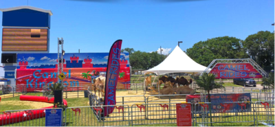 CamelKingdom